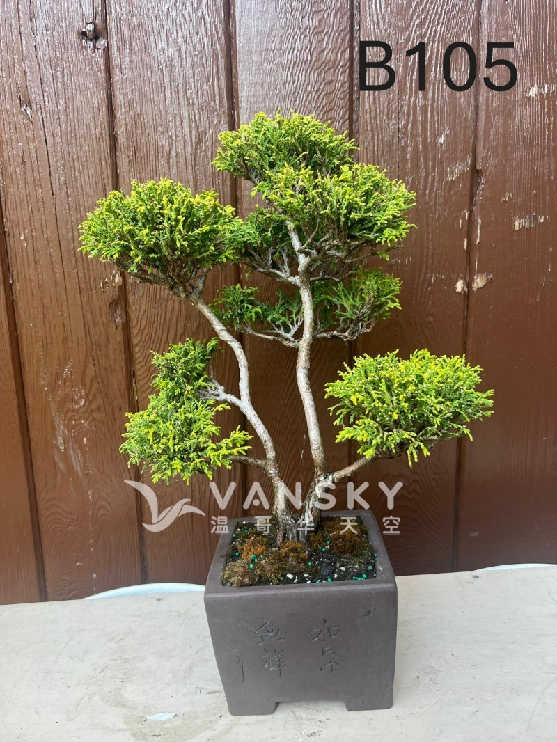 250920100847_B105 24 - 24-06.JPG